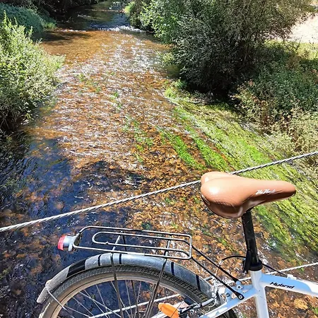 Coral Διαμέρισμα