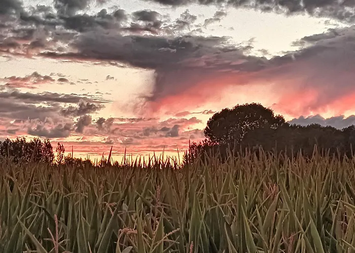 Coral Apartamento Villamejil